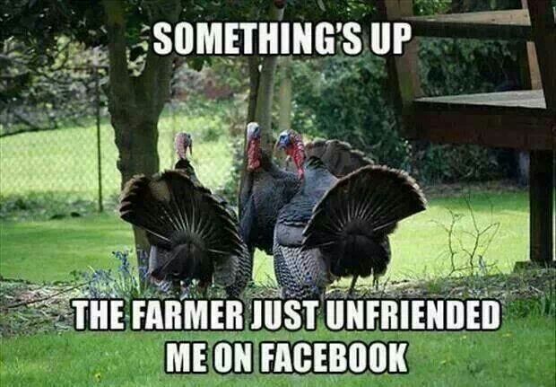 funny-thanksgiving-images-2015